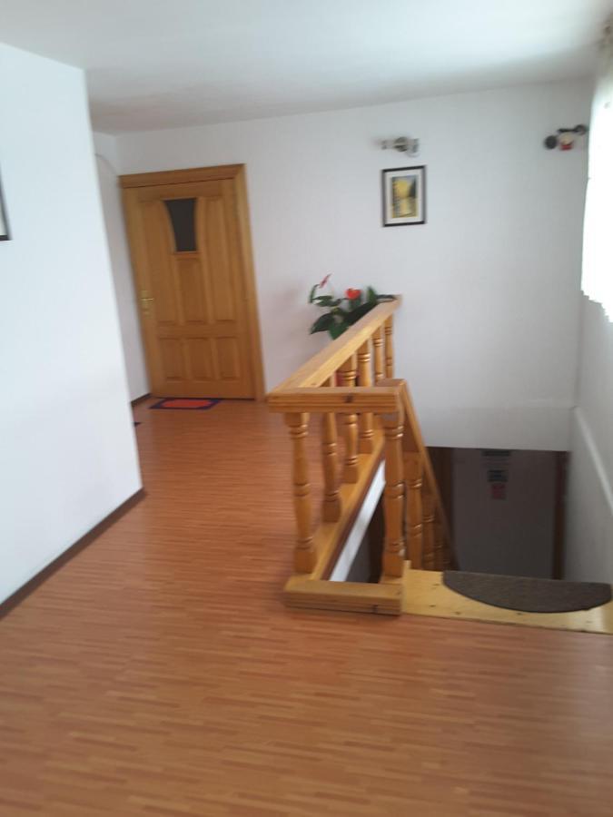 Camere De Inchiriat Edelweiss Dumbrava Rosie ภายนอก รูปภาพ